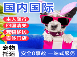 厦门航空快运国际宠物托运 【国